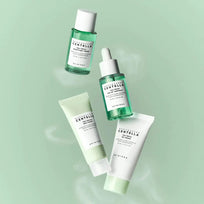 SKIN1004 Madagascar Centella Tea-Trica Travel Kit – 4pieces