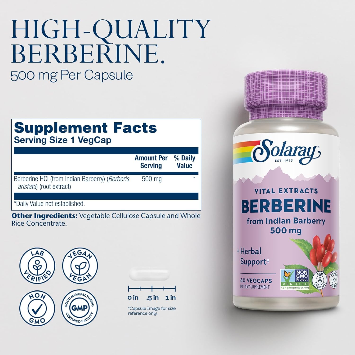 Solaray Berberine Supplement for a Healthy Lifestyle – 60 Capsules