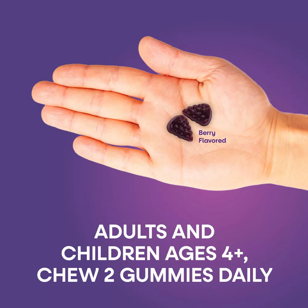 Nature's Way Black Elderberry Immune Support Supplement - 60 Tablets