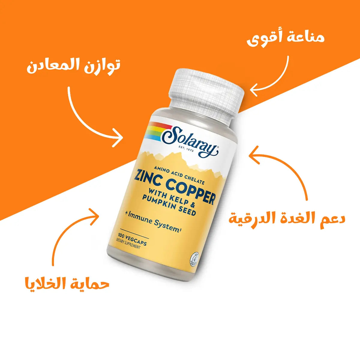 Solaray Zinc & Copper Immune Support Supplement with Sea Kelp & Pumpkin Seed - 100 Capsules