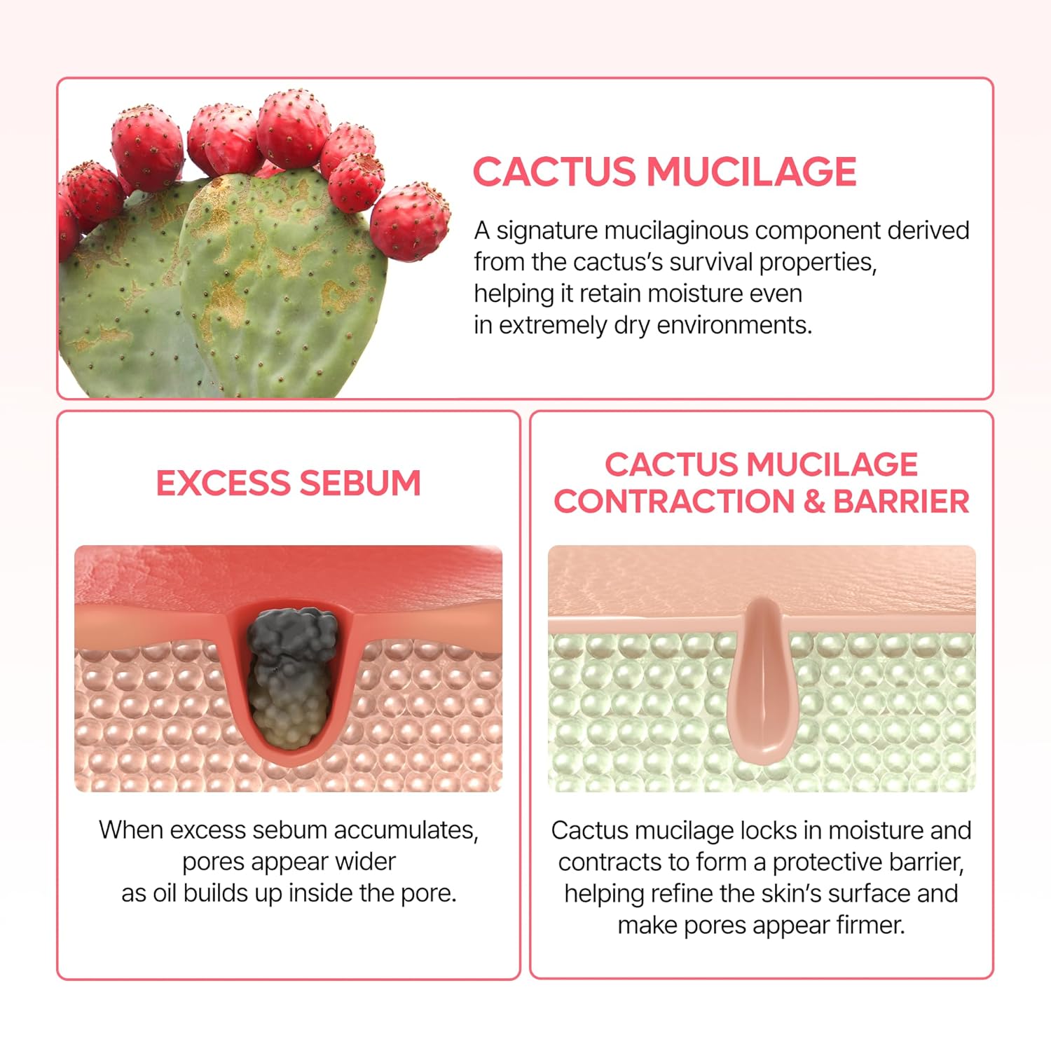 Dr. Melaxen Cactox Pore Relief Dual Capsule Cream - 65g – بيوتي تايم